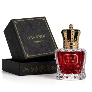 Custom Fragrance OEM Factory for Small Business Brand Unisex Parfum Original Private Label Perfume Low MOQ Body Fragrance