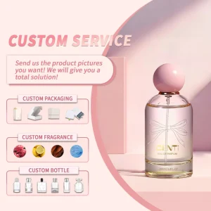 Custom My Own Perfume Fragrance OEM ODM Customized Your Private Label Your Own Brand Unisex Ladies 100ml Floral Fragrance