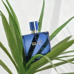 Factory Oem Unisex Spray Perfume Custom Luxury Oem Private Label 100ml Women Perfume Long Lasting Fragrance