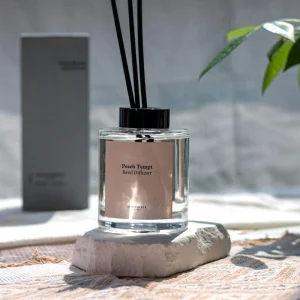 Home Beauty Reed Diffuser Box Packaging Perfumes Original Cologne air Freshener Spray Parfums