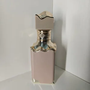 Luxury Sporty Eclaire Perfume 100ml French Floral Fruity Cloves Fragrance Long Lasting EDP Spray Honey Amber Women Men