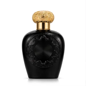 Private Label 100ml Arabian Eau De Parfum Long Lasting Unisex Perfume Custom Logo Packaging OEM ODM Supplier
