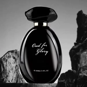 Unisex Dubai Luxury Parfum Fruity Woody 100ml Custom EDP Gift Set Long Lasting Custom ODM OEM Unisex Perfume