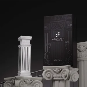 X FANTASY Unisex Luxury Perfume Custom Private Brand Eau De Parfum Fragrance Guangzhou Long Lasting Design Perfume